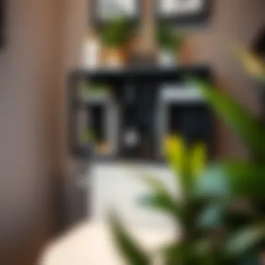 Close-up of black wood storage with decorative plants and toiletries