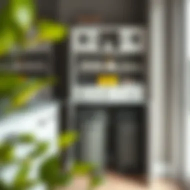 Organizational strategies for optimizing space with garbage can cabinets