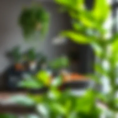 Enhance Your Dining Experience with Sophisticated Silk Plants Dining area beautifully complemented with silk plants