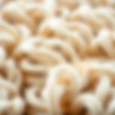 Close-up of wool fibers showcasing their texture