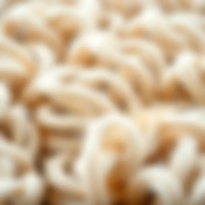 Close-up of wool fibers showcasing their texture