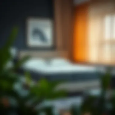 Queen mattress in a stylish bedroom setting