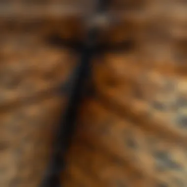 Close-up of the texture of an authentic animal hide