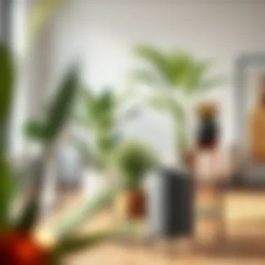 Stylish plant stand materials displayed for interior design inspiration