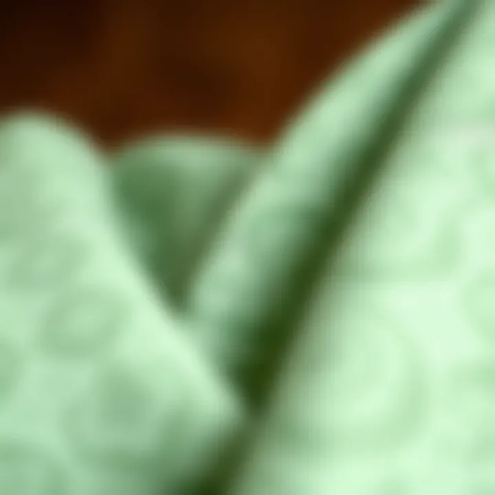Close-up of intricate patterns in light green fabric