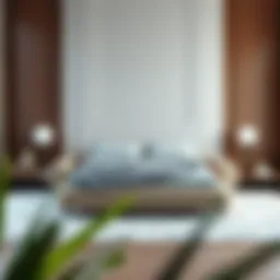 The Bed with a Sofa at the End: An Exploration of Functionality and Design Introduction