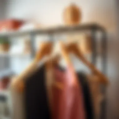 The Importance of Strong Clothes Hangers in Home Organization Summary
