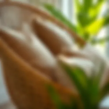 Close-up of luxurious rattan chair with textured pillows