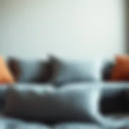 The Significance of Large Grey Throw Pillows in Modern Home Decor Introduction