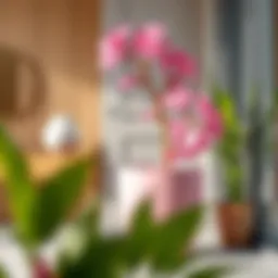 The Significance of the Large Pink Flower Pot in Interior Design Introduction