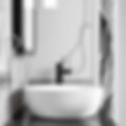 Elegant black and white sink with modern faucet