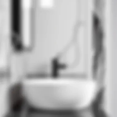 Elegant black and white sink with modern faucet