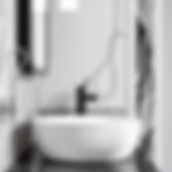 Elegant black and white sink with modern faucet