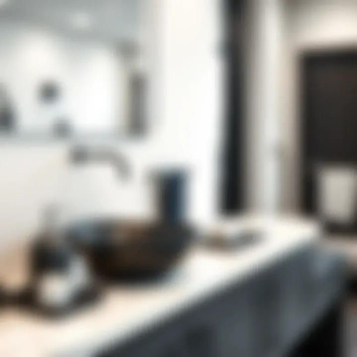 Black and white sink paired with stylish bathroom accessories