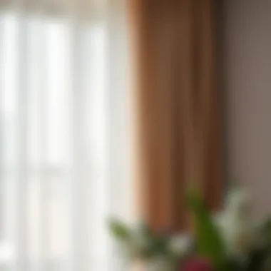 Close-up view of sheer curtains allowing soft light to filter through