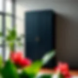 The Tall Thin Black Cabinet: A Study in Form and Function Introduction
