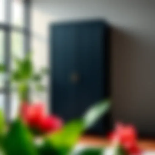 The Tall Thin Black Cabinet: A Study in Form and Function Introduction