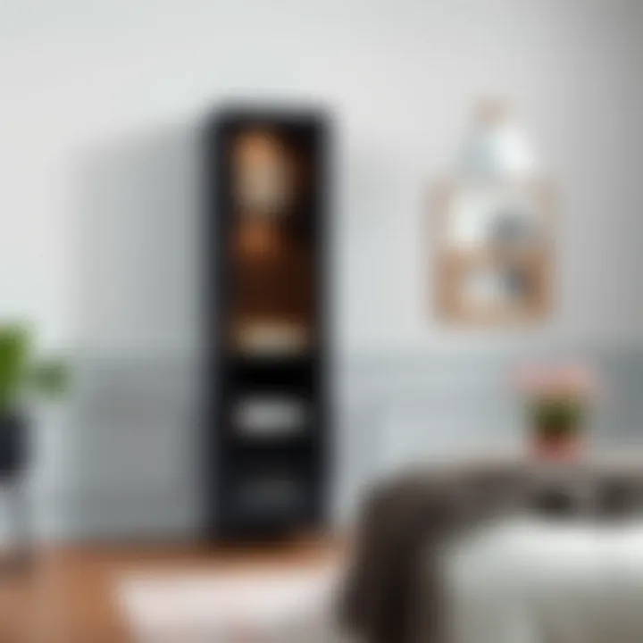 Notable The Tall Thin Black Cabinet: A Study in Form and Function