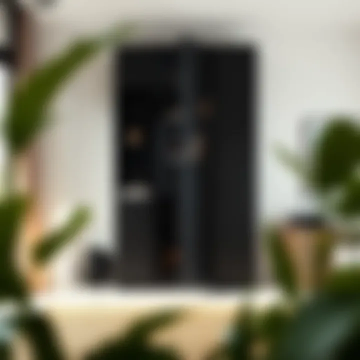 The Tall Thin Black Cabinet: A Study in Form and Function Summary