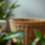 Intricately woven round wicker basket showcasing craftsmanship