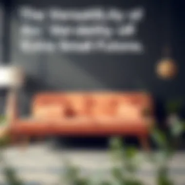 The Versatility of Extra Small Futons: An In-Depth Exploration Summary