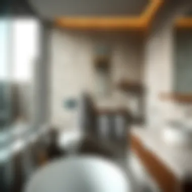 Stylish hooks utilized in a bathroom for towels